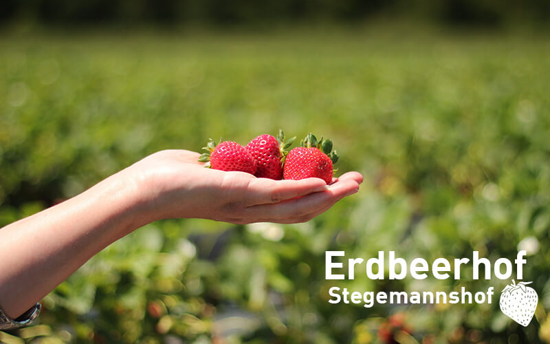 Erdbeerhof Stegemannshof - Landwirt Christian Bernhard